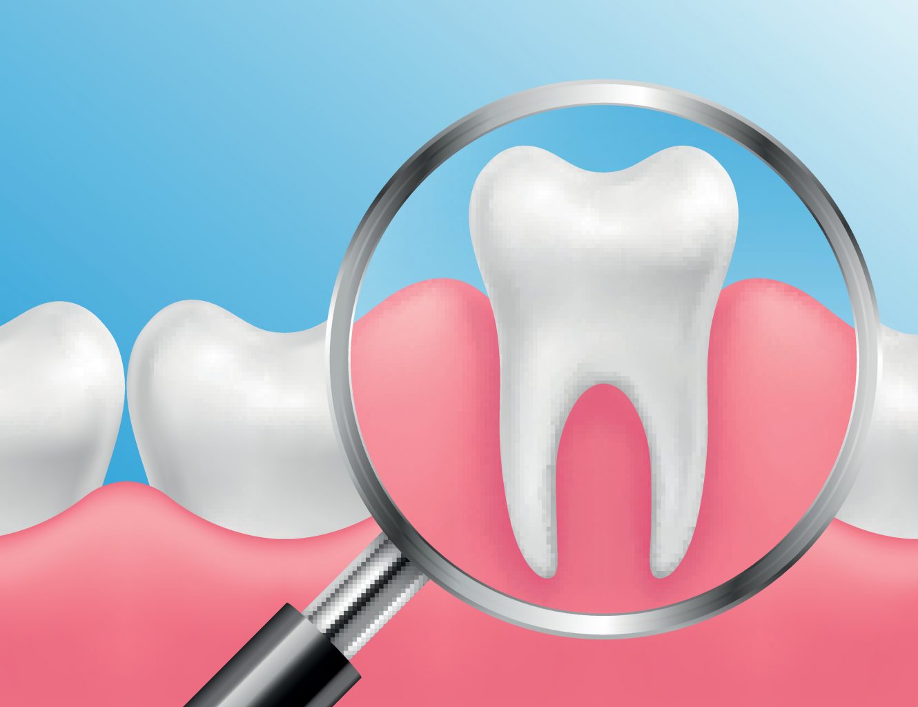 vector realistic healthy teeth with magnifying glass showing tooth in gums with roots visible